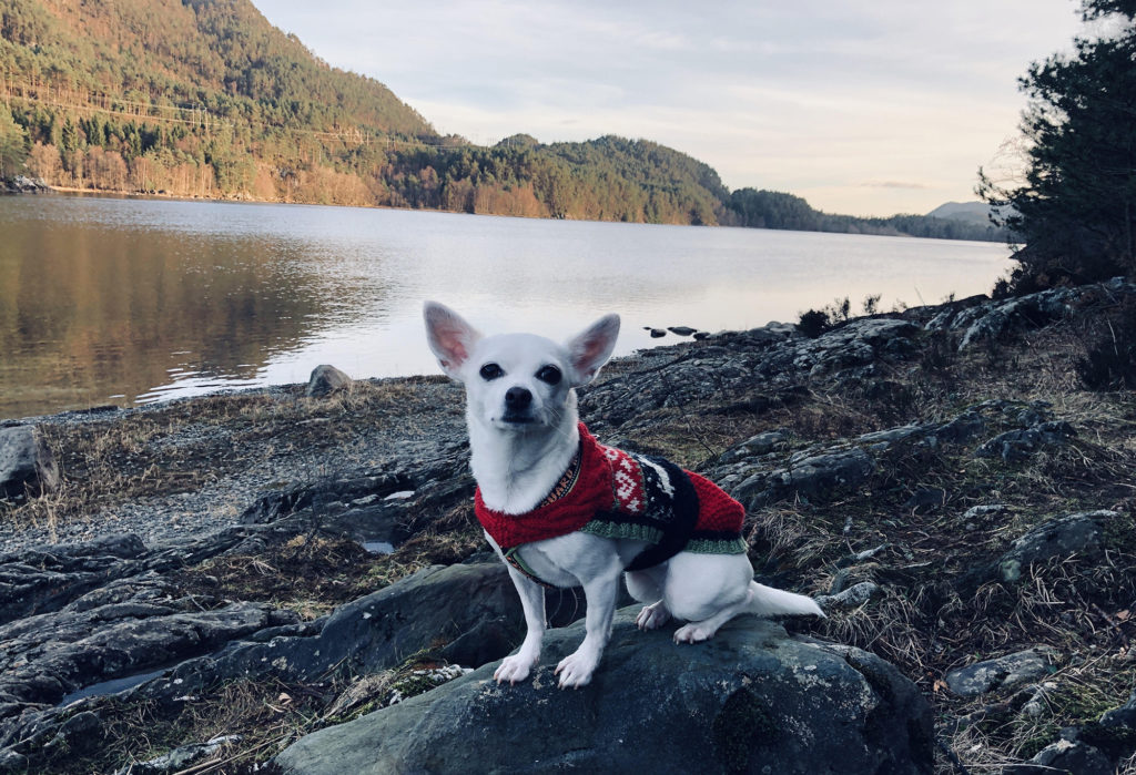 Moya by the lake
